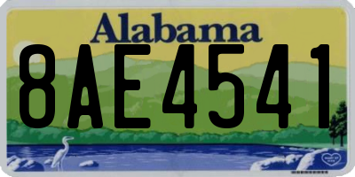AL license plate 8AE4541