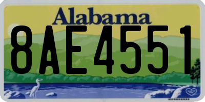 AL license plate 8AE4551