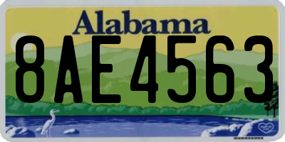 AL license plate 8AE4563