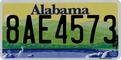 AL license plate 8AE4573