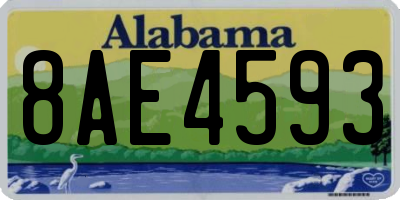 AL license plate 8AE4593