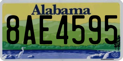 AL license plate 8AE4595
