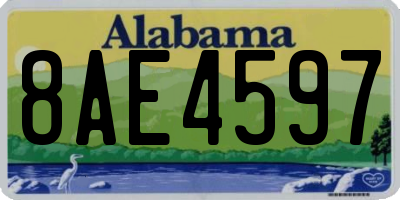 AL license plate 8AE4597