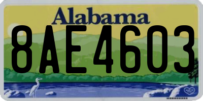AL license plate 8AE4603