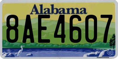 AL license plate 8AE4607