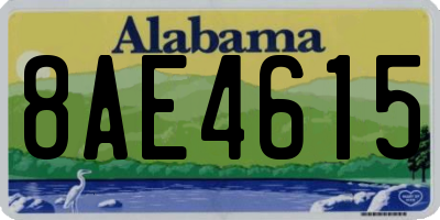 AL license plate 8AE4615