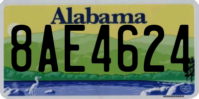 AL license plate 8AE4624