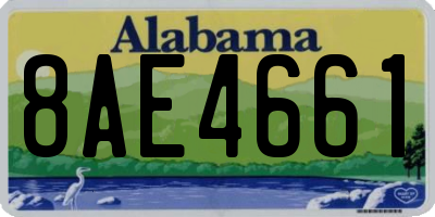 AL license plate 8AE4661