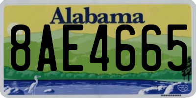 AL license plate 8AE4665