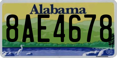 AL license plate 8AE4678