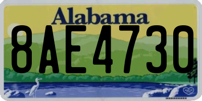 AL license plate 8AE4730