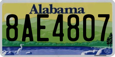 AL license plate 8AE4807
