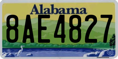 AL license plate 8AE4827