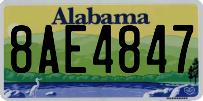 AL license plate 8AE4847