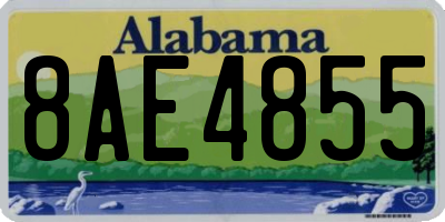 AL license plate 8AE4855