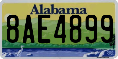 AL license plate 8AE4899
