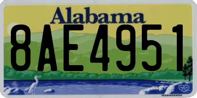 AL license plate 8AE4951