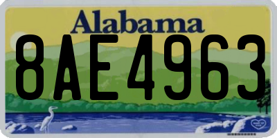 AL license plate 8AE4963