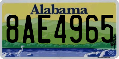 AL license plate 8AE4965