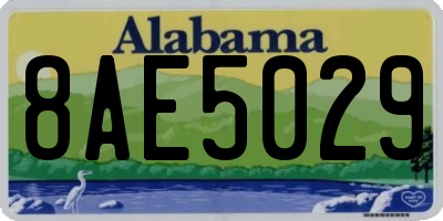 AL license plate 8AE5029