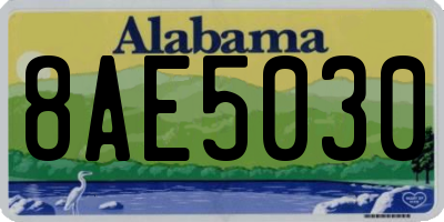 AL license plate 8AE5030