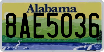 AL license plate 8AE5036