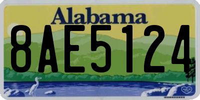 AL license plate 8AE5124