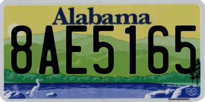 AL license plate 8AE5165