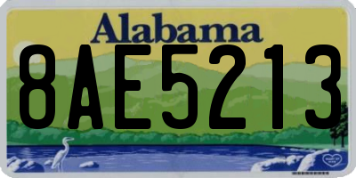AL license plate 8AE5213