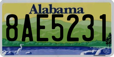 AL license plate 8AE5231