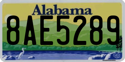 AL license plate 8AE5289