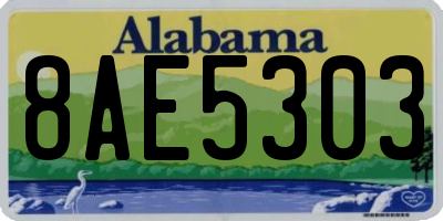 AL license plate 8AE5303