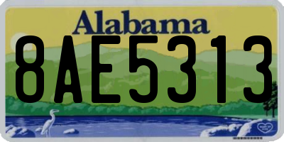 AL license plate 8AE5313