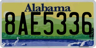 AL license plate 8AE5336