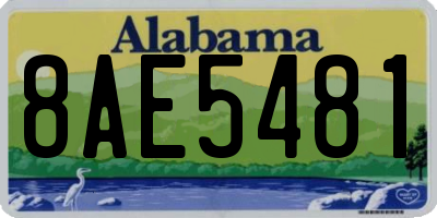 AL license plate 8AE5481