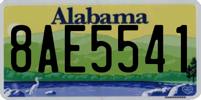 AL license plate 8AE5541