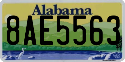 AL license plate 8AE5563