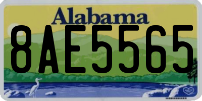 AL license plate 8AE5565