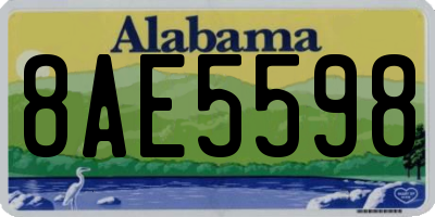 AL license plate 8AE5598