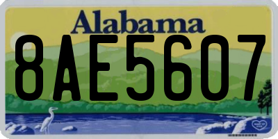 AL license plate 8AE5607