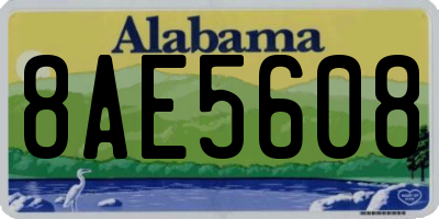 AL license plate 8AE5608