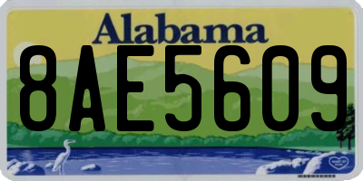 AL license plate 8AE5609