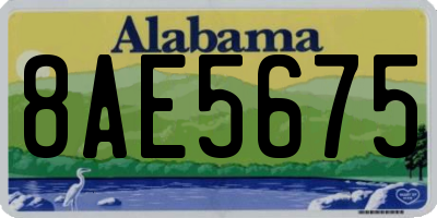 AL license plate 8AE5675
