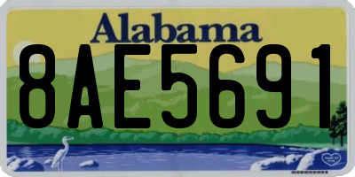 AL license plate 8AE5691
