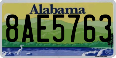 AL license plate 8AE5763