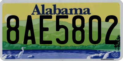 AL license plate 8AE5802