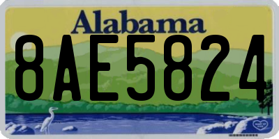 AL license plate 8AE5824