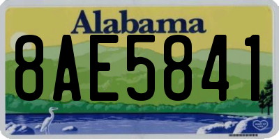 AL license plate 8AE5841