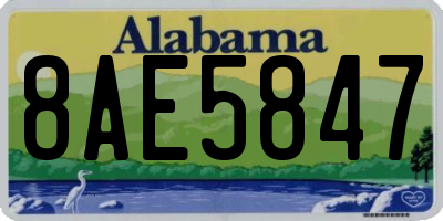 AL license plate 8AE5847