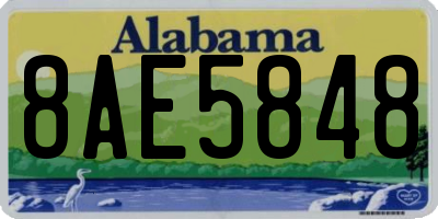 AL license plate 8AE5848